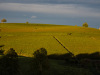 DSC_9160