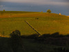 IMG_6963